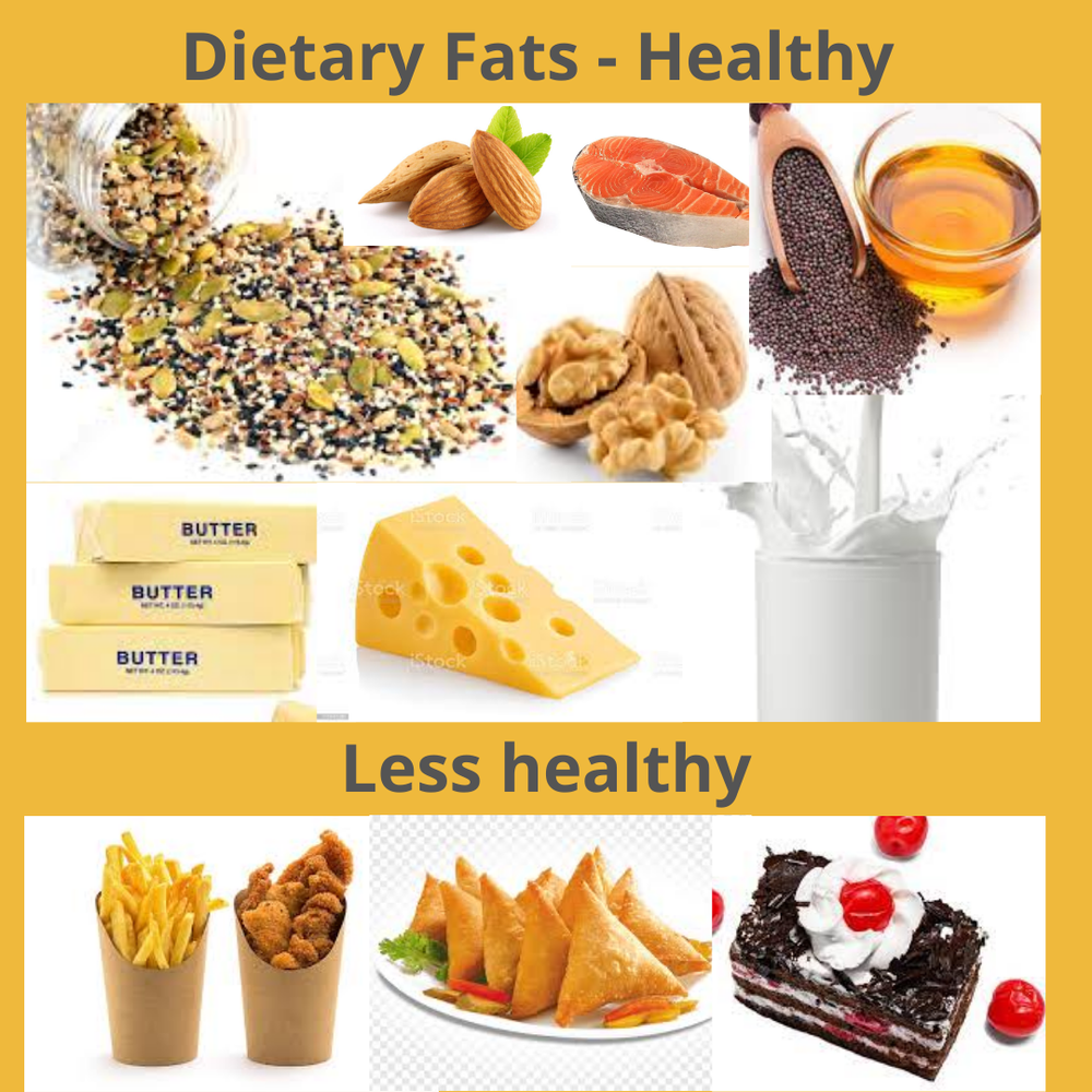 Dietary Fats - Healthy and less healthy